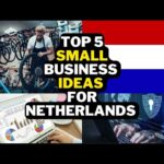 Online business ideas in Netherlands for Pakistani