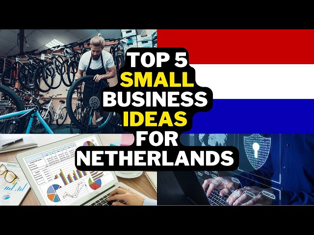 Online business ideas in Netherlands for Pakistani